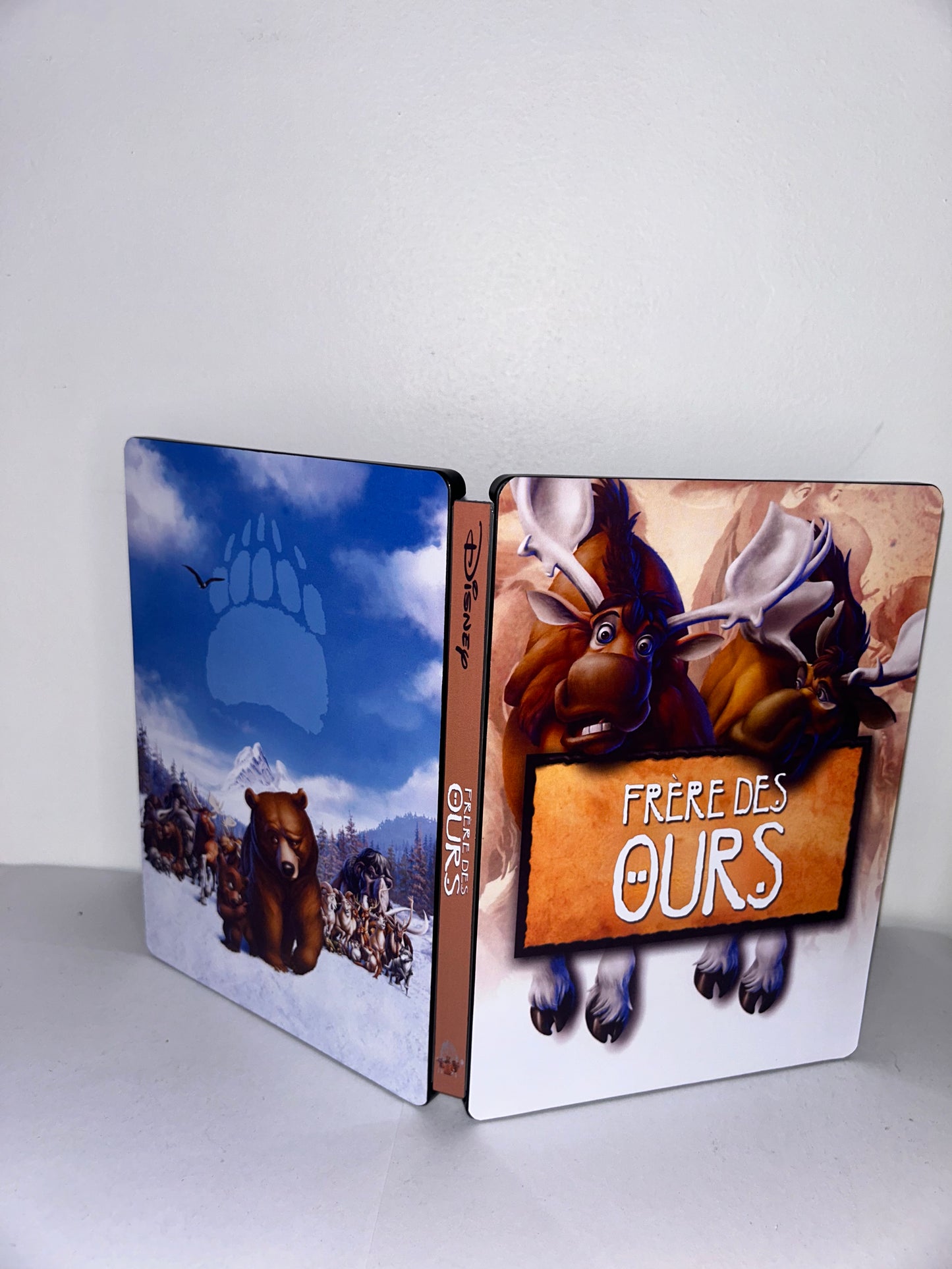 Frère des Ours